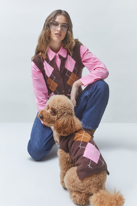 ALFIE Pull pour chien café Café Suncoo