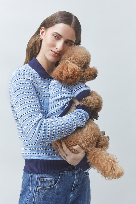 ARTY Pull fantaisie pour chien Bleu ciel Suncoo