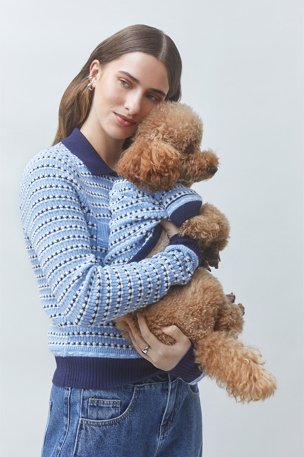 ARTY Pull fantaisie pour chien Bleu ciel Suncoo